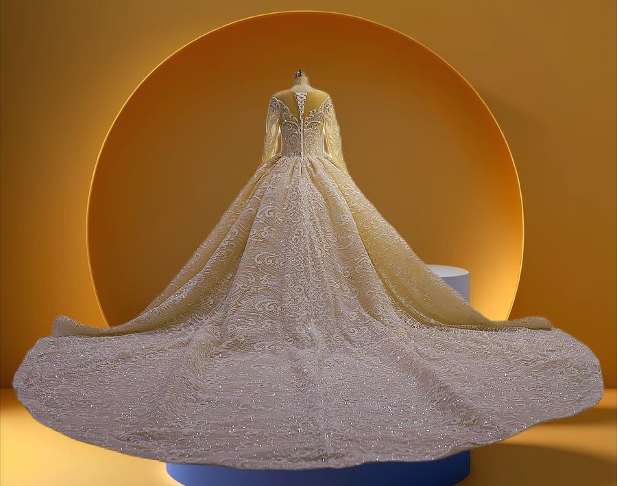 Beautiful long sleeve sparkly bridal gown